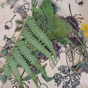 bloemen
